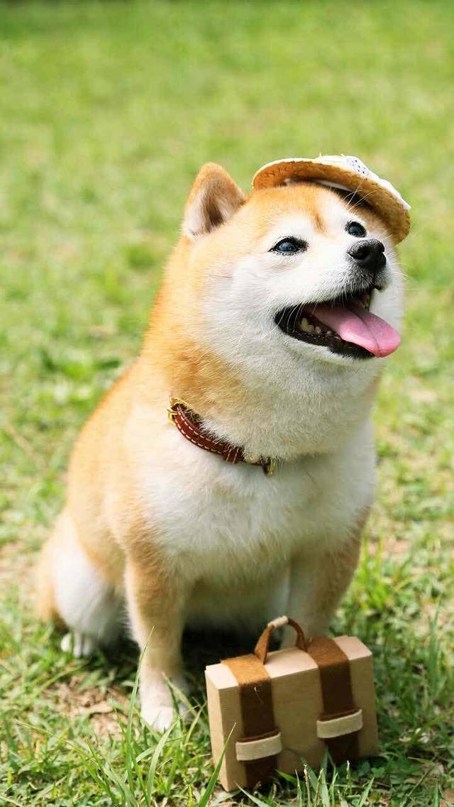 金太阳蛋糕手工坊(大学城店)