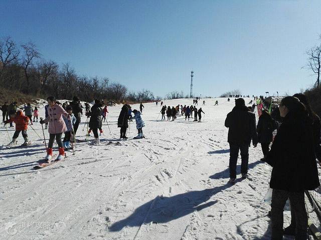 弯道山滑雪场