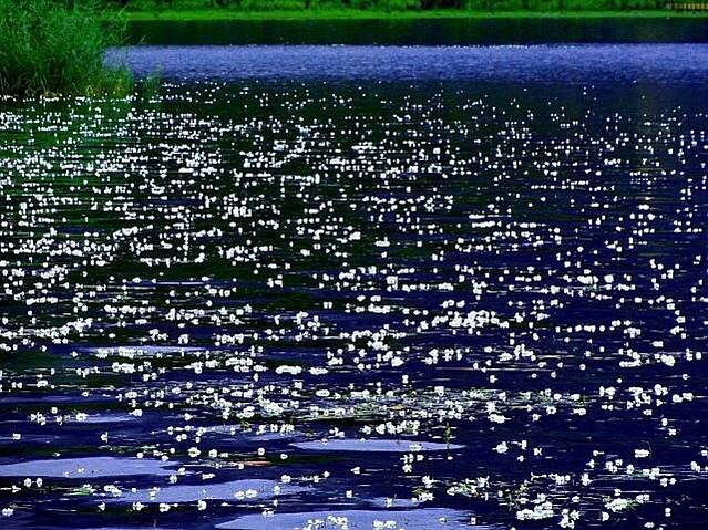 广州起义纪念馆