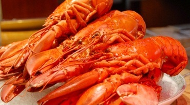 昆明世纪金源大饭店·海鲜自助餐厅(迎宾路店)