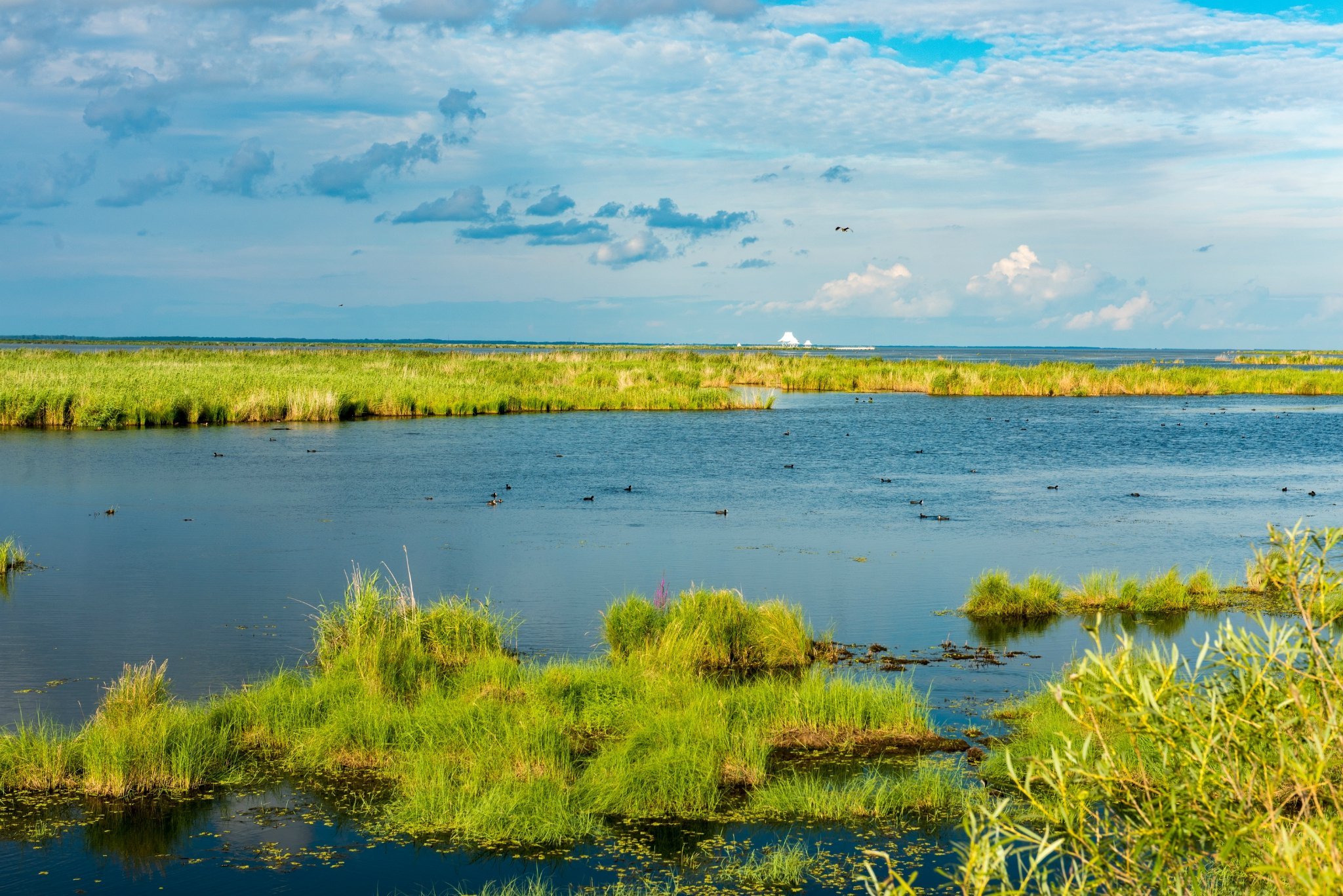 (北极村)——齐齐哈尔(扎龙湿地,龙沙动植物园)———大庆(杜蒙连环湖