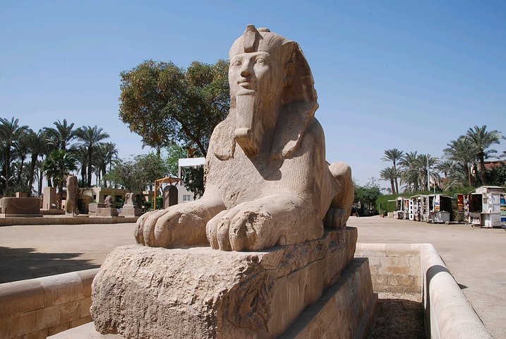 孟菲斯最具特色的博物馆