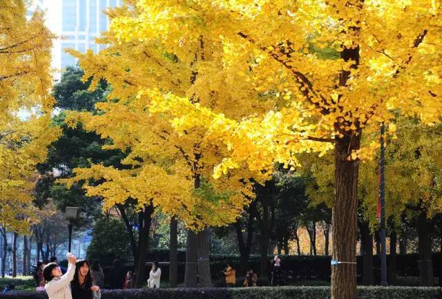 凯迪拉克·上海音乐厅