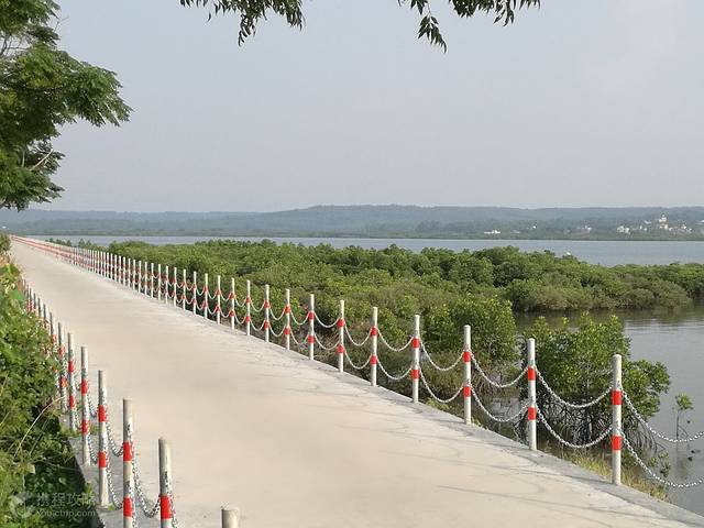 澹庵泉迹红树林自然保护区