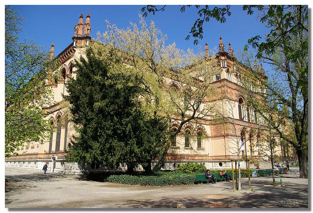 自然历史博物馆