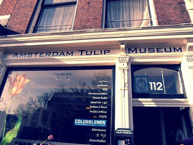 阿姆斯特丹郁金香博物馆