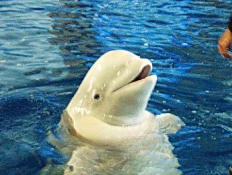 国立海洋生物博物馆
