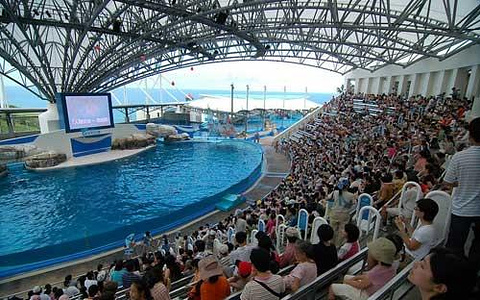 远雄海洋公园