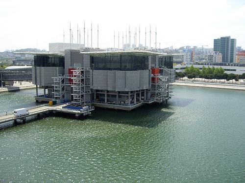 里斯本海洋水族馆