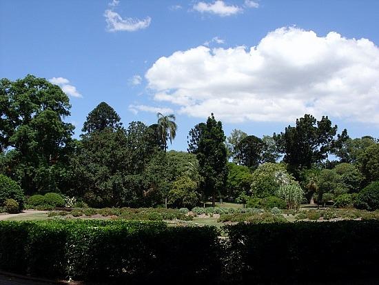 布里斯班植物园