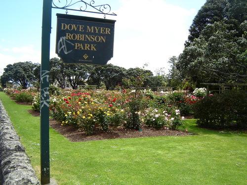 帕内尔玫瑰花园