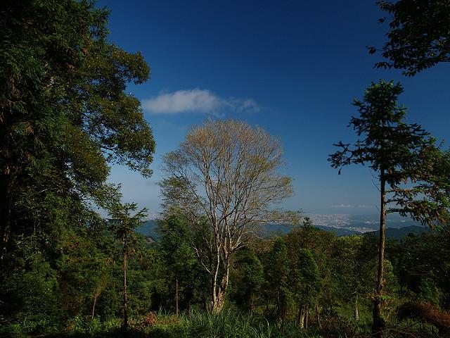 东眼山森林游乐区