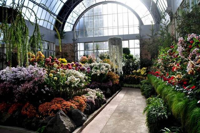 奥克兰中央公园