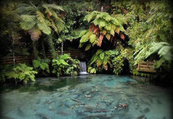 天堂谷野生动物园