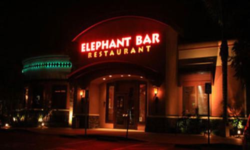 疯狂的大象酒吧