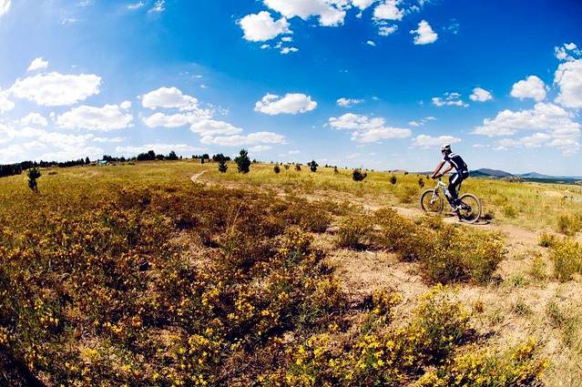 斯特姆洛森林公园