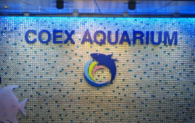 Sea Life COEX水族馆