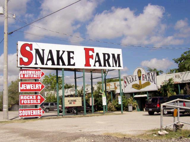 泰国红十字会萨瓦巴女王纪念研究所蛇园