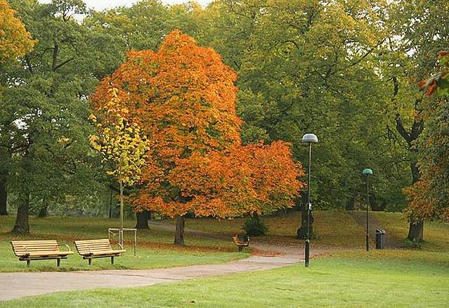 司洛特司克格恩