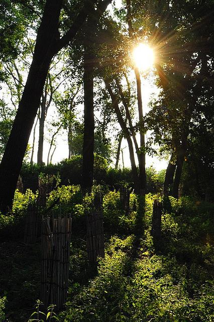 蒂伏特自然保护区
