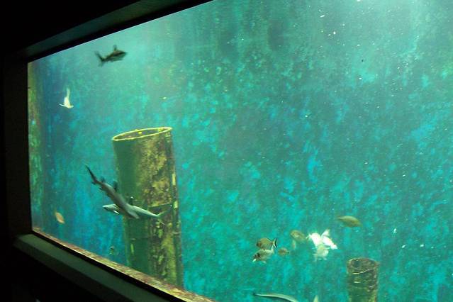 当代艺术博物馆