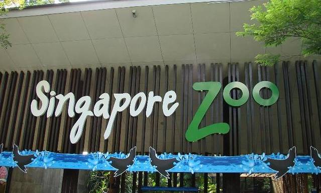 新加坡动物园