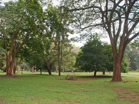 The Nairobi Arboretum旅游景点图片