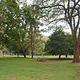 The Nairobi Arboretum