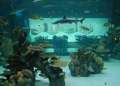 休斯顿市中心水族馆