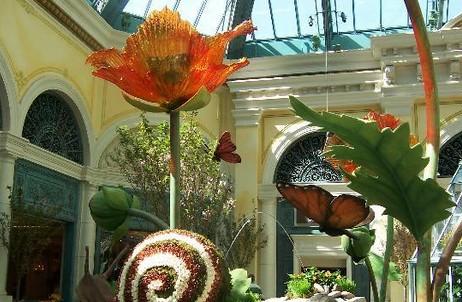 贝拉吉欧温室植物园