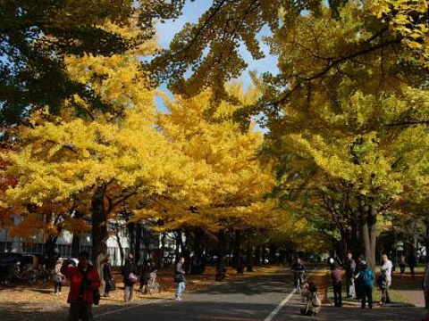 北海道大学旅游景点图片
