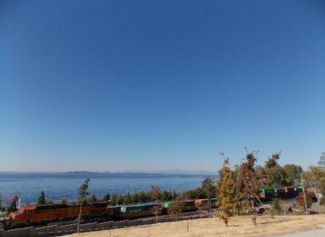 奥林匹克雕塑公园