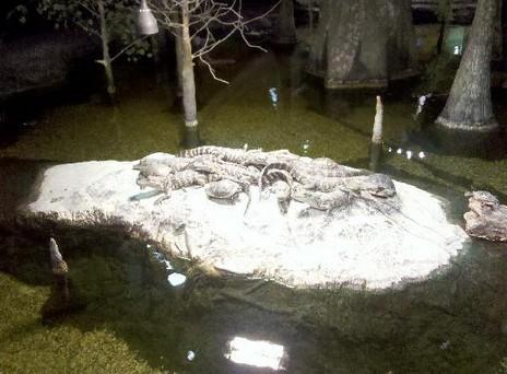 奥兰多科学中心