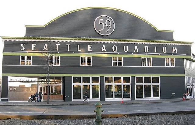 西雅图水族馆