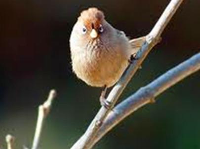 孟屯河谷风景区