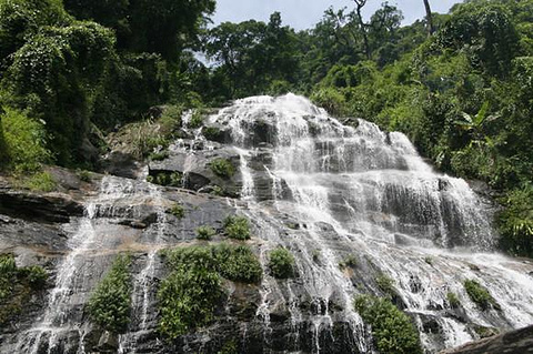 海南百花岭热带雨林文化旅游区的图片