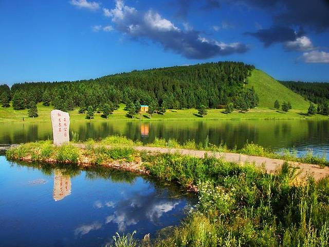 红花尔基樟子松国家森林公园