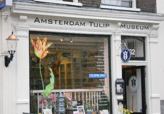 阿姆斯特丹郁金香博物馆