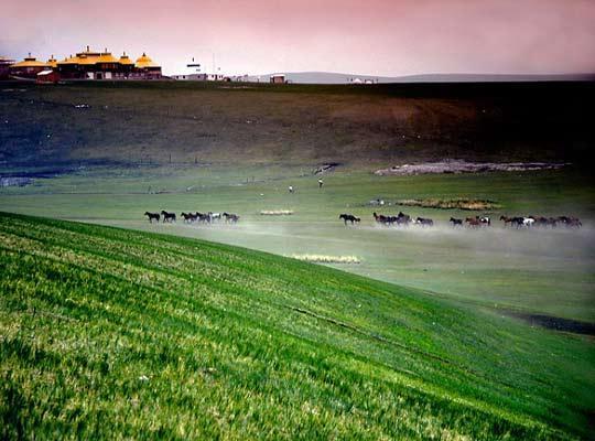 金帐汗旅游部落