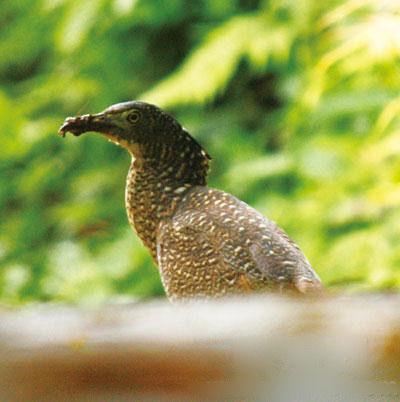 中国科学院西双版纳热带植物园