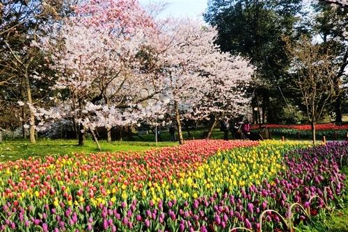 墨尔本皇家植物园