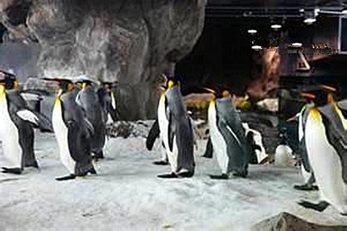 凯利塔顿海底世界