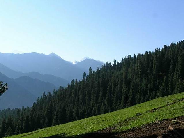 雪岭云杉自然保护区