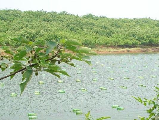 牛头山国家森林公园