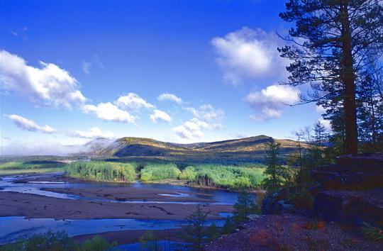 呼中自然保护区