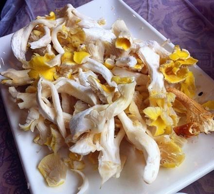 野菌园·野生菌火锅首创第一家(关兴路总店)