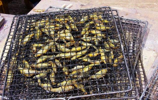 拉市海茶马古道烤鱼