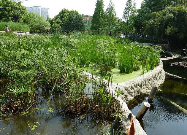 四川成都活水公园