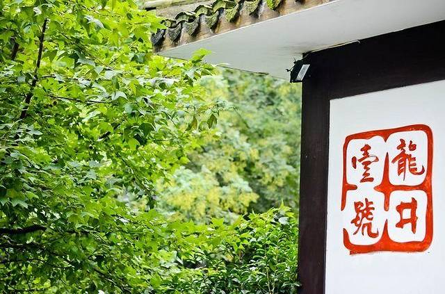 龙井菜馆(龙井村店)