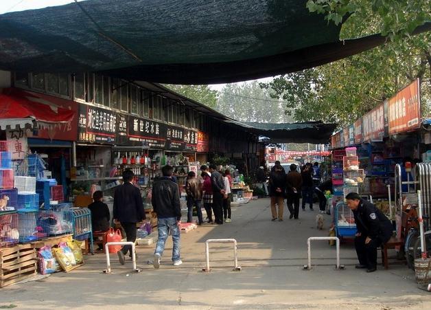 苏州市皮市街花鸟工艺品市场